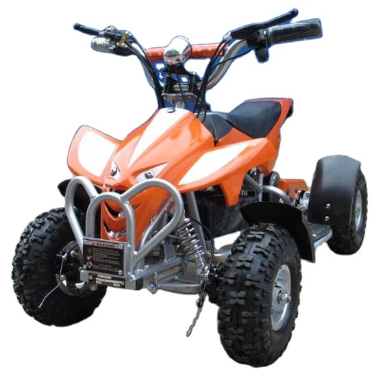 Mini electric hot sale quad bike