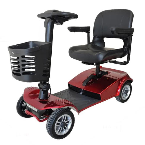 ECOCRUISER 4 Automatic Electric Scooter (7674832191649)