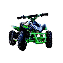 Load image into Gallery viewer, PIONEER 4 Wheeler Kids Brush Motor Electric Quad 36v 1000w (7680840138913)
