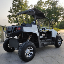 Load image into Gallery viewer, PIONEER 2200W Off-Road Electric ATV (7674258784417)
