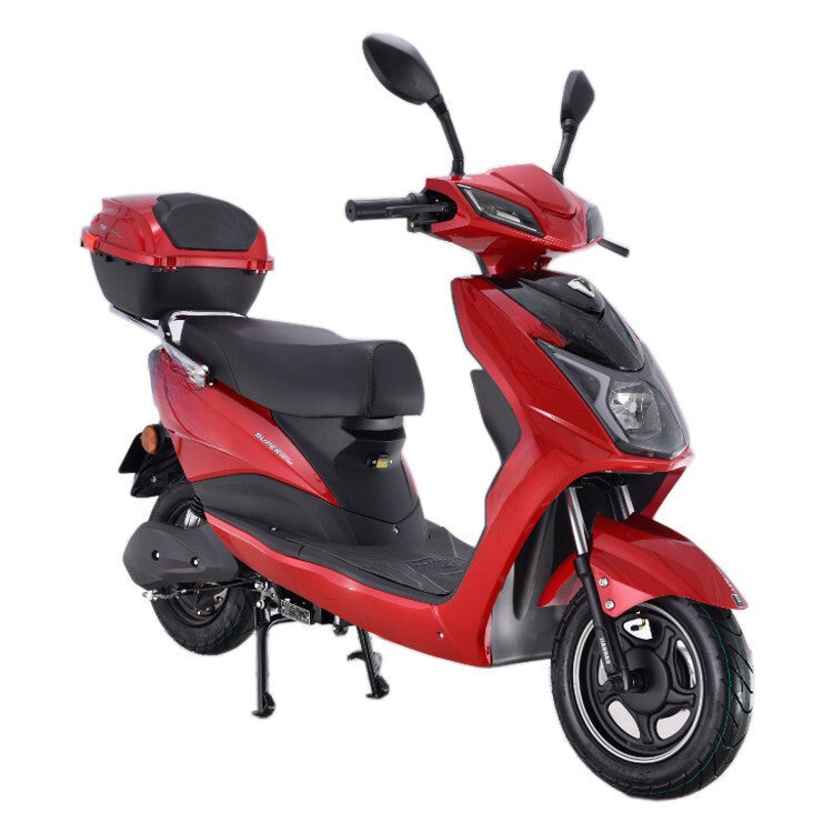 EASYGO High-Speed 800W Electric Moped (7672411750561)