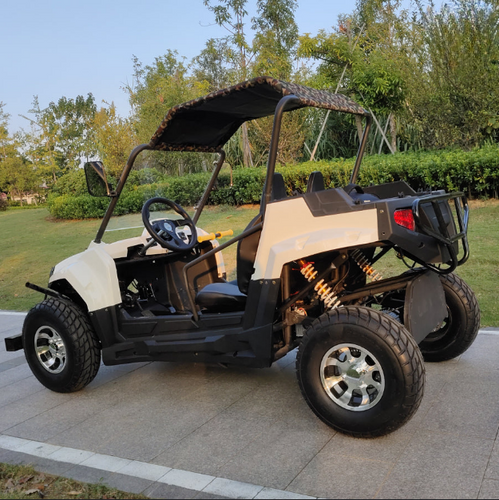 PIONEER 2200W Off-Road Electric ATV (7674258784417)