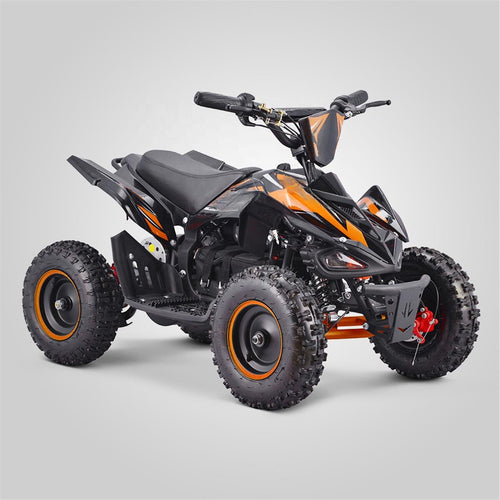 PIONEER 800W 1000W Electric ATV (7669709635745)