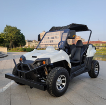 Load image into Gallery viewer, PIONEER 2200W Off-Road Electric ATV (7674258784417)
