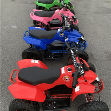 Load image into Gallery viewer, PIONEER 800w 36V electric mini ATV with CE (7674265927841)
