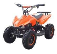 Load image into Gallery viewer, PIONEER ATV-6E 36v800w electric atvs and atv electric, New kids electric atv with 36V500W for children (7669582004385)
