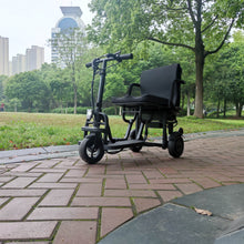 Load image into Gallery viewer, TRIAD &quot;10&#39;&#39; Folding Electric Trike with Aluminum Alloy Frame (7672367448225)

