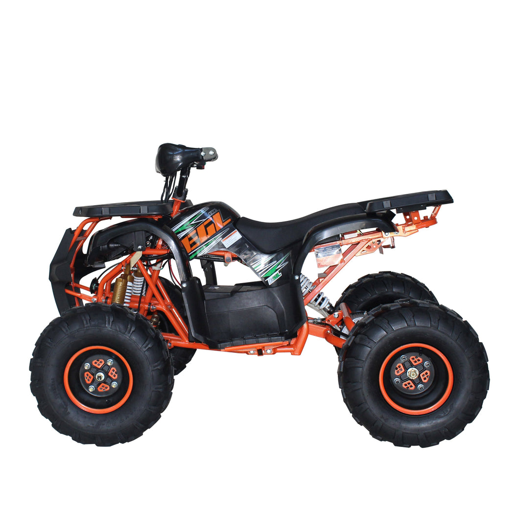 PIONEER 3 wheel Off-road electric quad bike with trailer bumper and truck 1200W (7669585019041)