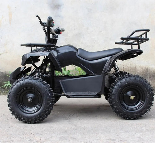 PIONEER KID ATV 1000w 1300w motor lithium battery max speed 42km customization range 50km (7680839254177)