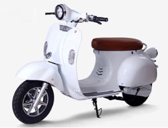 EASYGO Powerful High-Speed Long Range Electric Moped (7672414994593)