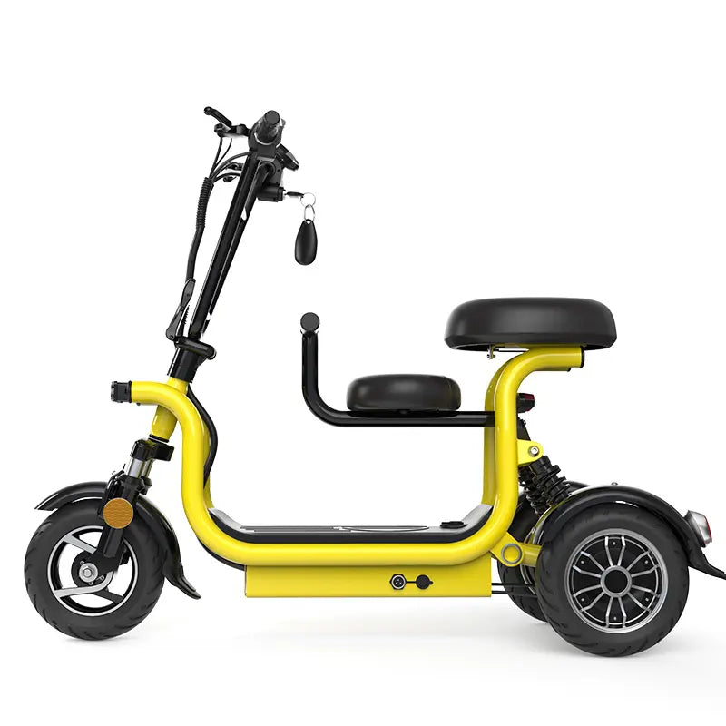 ECOCRUISER 3 48V 200 - 500W 10 - 20AH Folding Scooter (7672824234145)