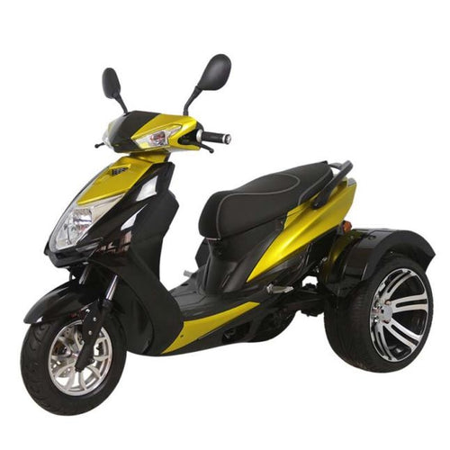 ECOCRUISER 3 800W 60V 20AH Scooter (7672576082081)