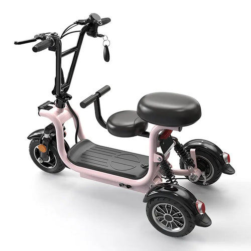 ECOCRUISER 3 48V 200 - 500W 10 - 20AH Folding Scooter (7672824234145)