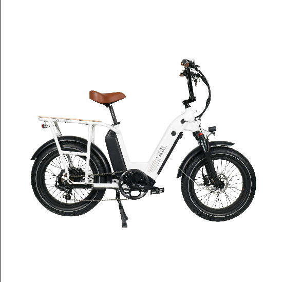 VOLTCYCLE  750W Dual Battery Electric Fat Tire Bike (7674121846945)