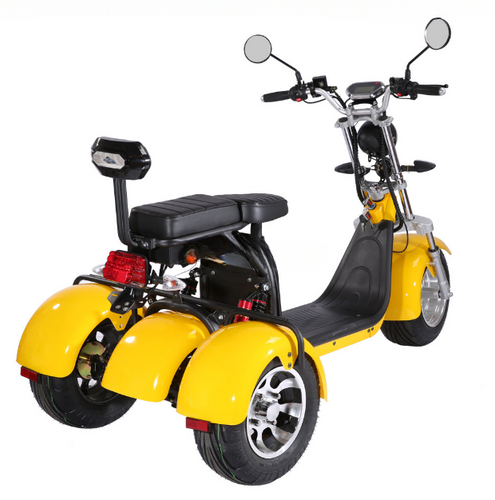 ECOCRUISER 3 60V 1000 - 2000W 10 - 20AH Scooter (7672691327137)