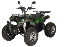 Load image into Gallery viewer, PIONEER 3000W 60V Adult Electric Atvs for Cross Off Road Fun Electric Quad (7669586526369)
