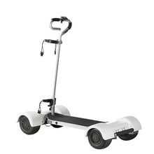 Load image into Gallery viewer, ECOCRUISER 4 Wheeler electric scooter for sale max load 150kg golf electric scooter golf skateboard (7675465564321)
