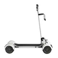 Load image into Gallery viewer, ECOCRUISER 4 Wheeler electric scooter for sale max load 150kg golf electric scooter golf skateboard (7675465564321)
