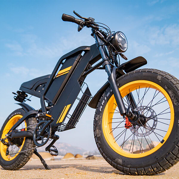 Fat Tire eBike