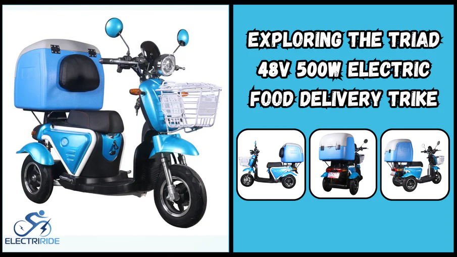 Delivering Excellence: Exploring the TRIAD 48V 500W Electric Food Delivery Trike