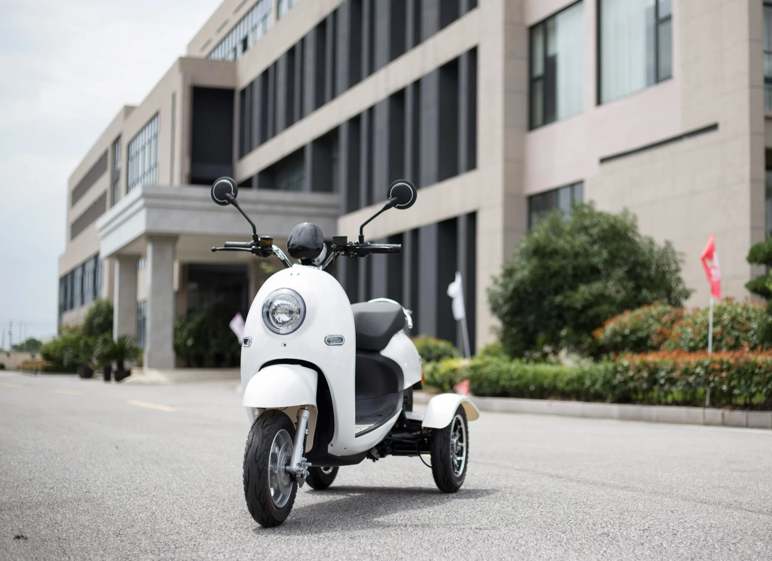 Revolutionizing Commutes: Unveiling the TRIAD 48V/60V Electric Trike with Lead Acid Battery