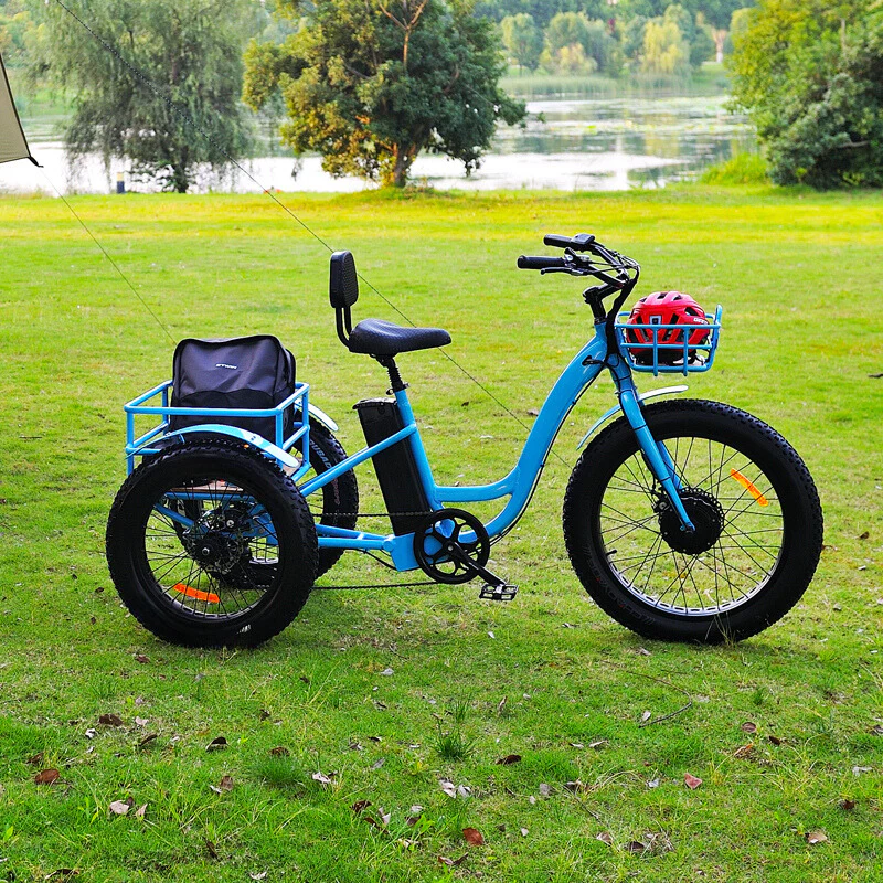 Choosing the Right Ride: Delivery eBike vs. Trikes